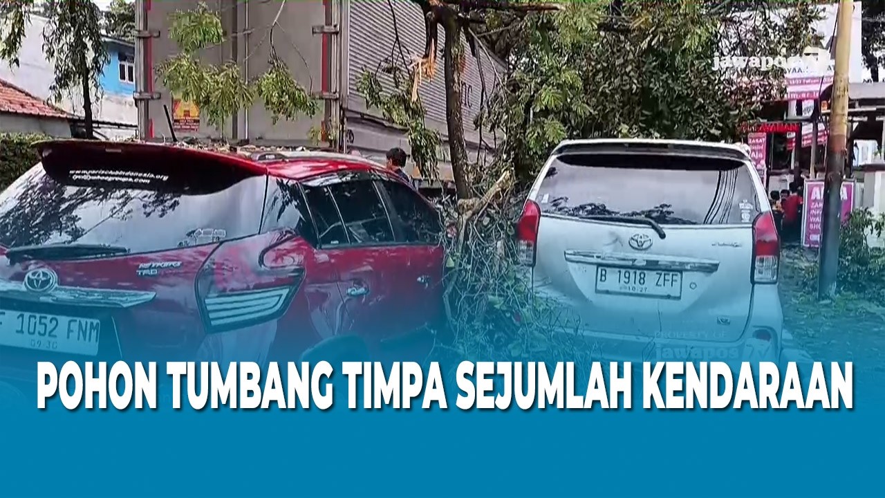 POHON TUMBANG TIMPA SEJUMLAH KENDARAAN
