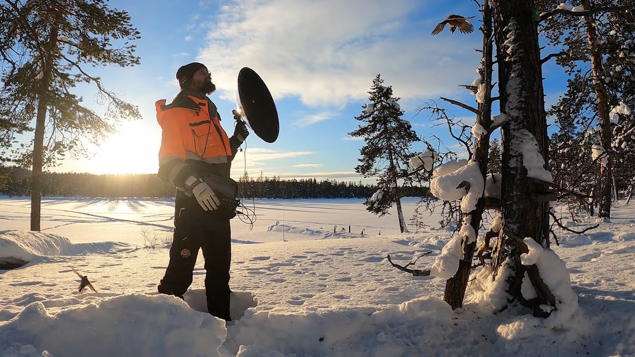 Life of a Field Recordist