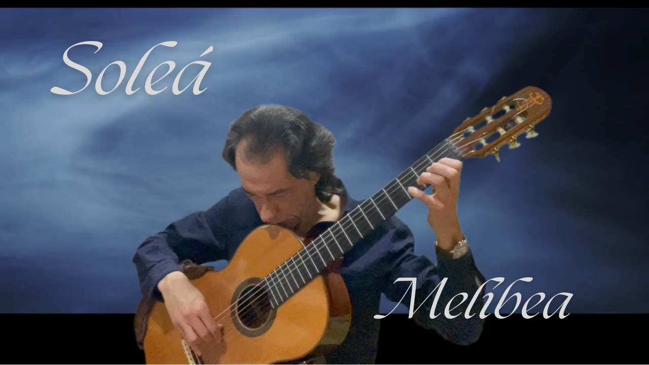 José Luis Encinas-Soleá Melibea
