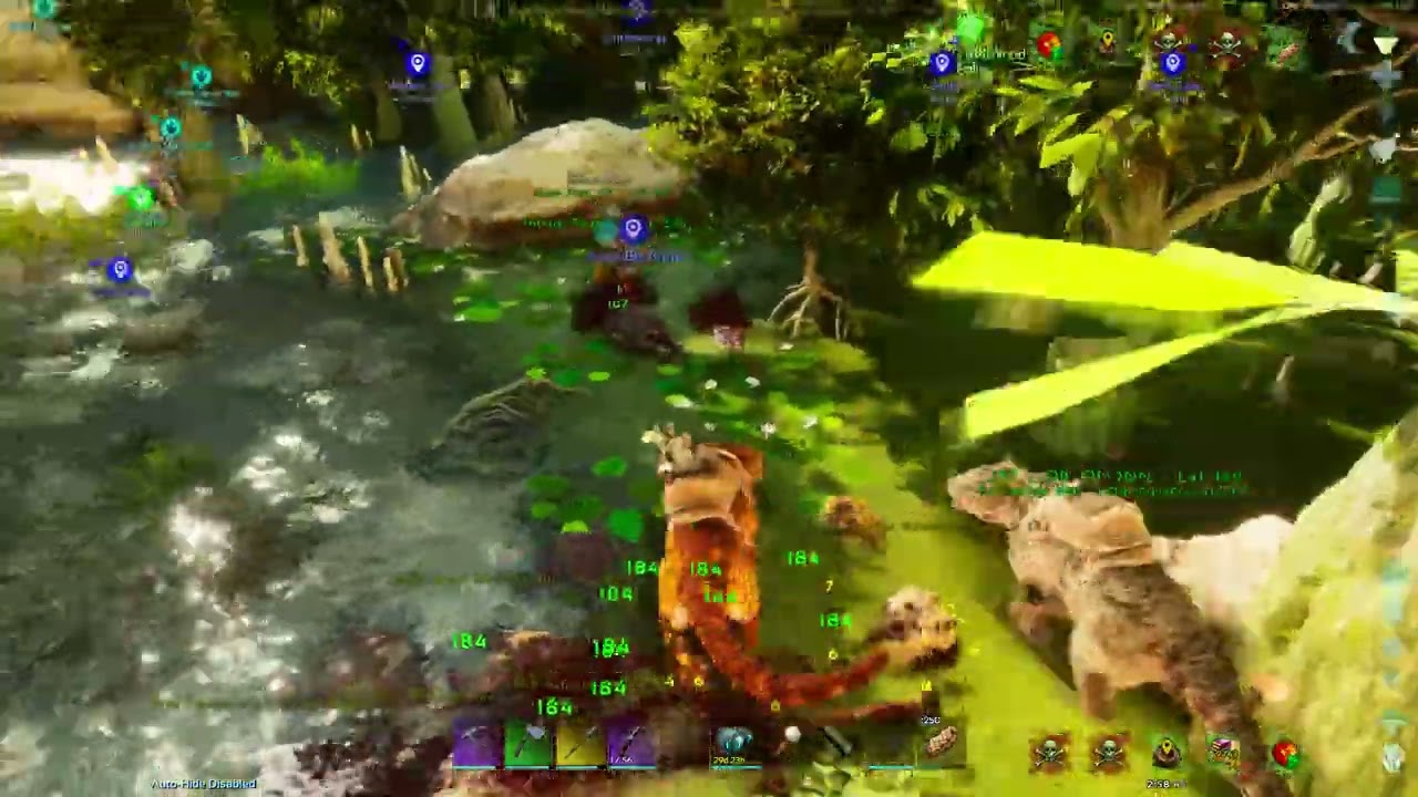 The Center Swamp madness