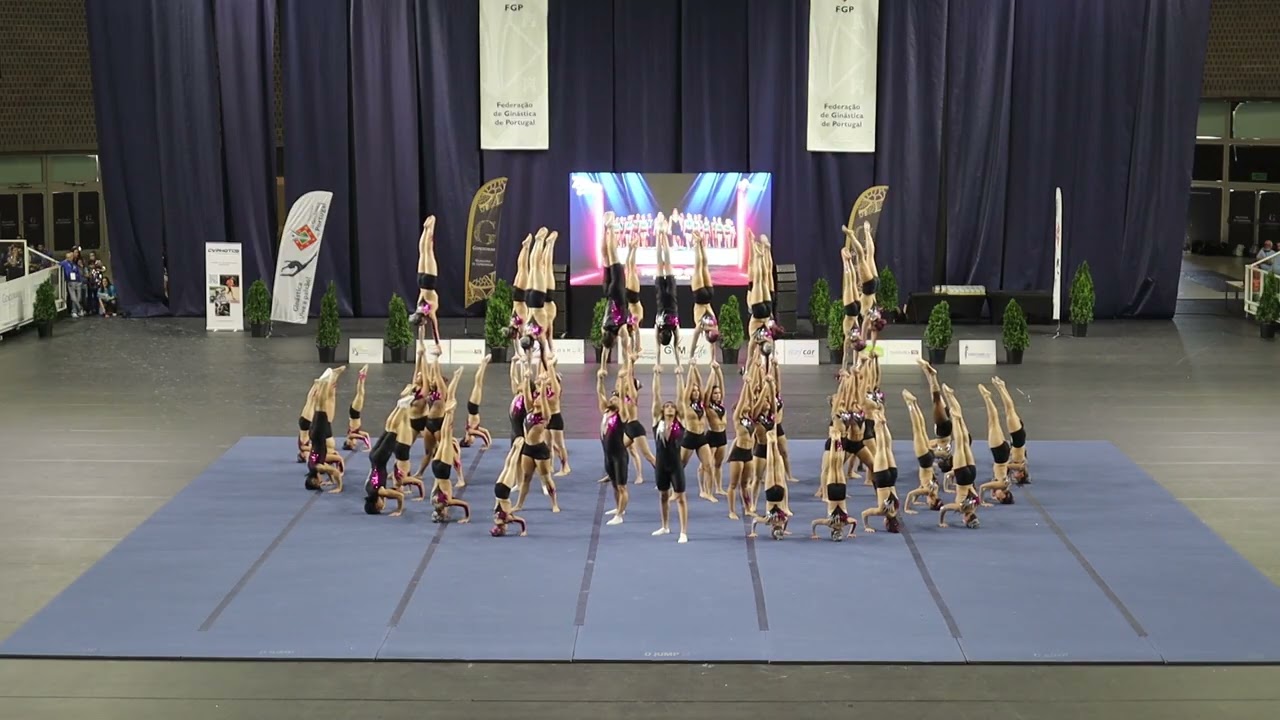 GFL 2025 - Top Acro Gym, Gimnofrielas