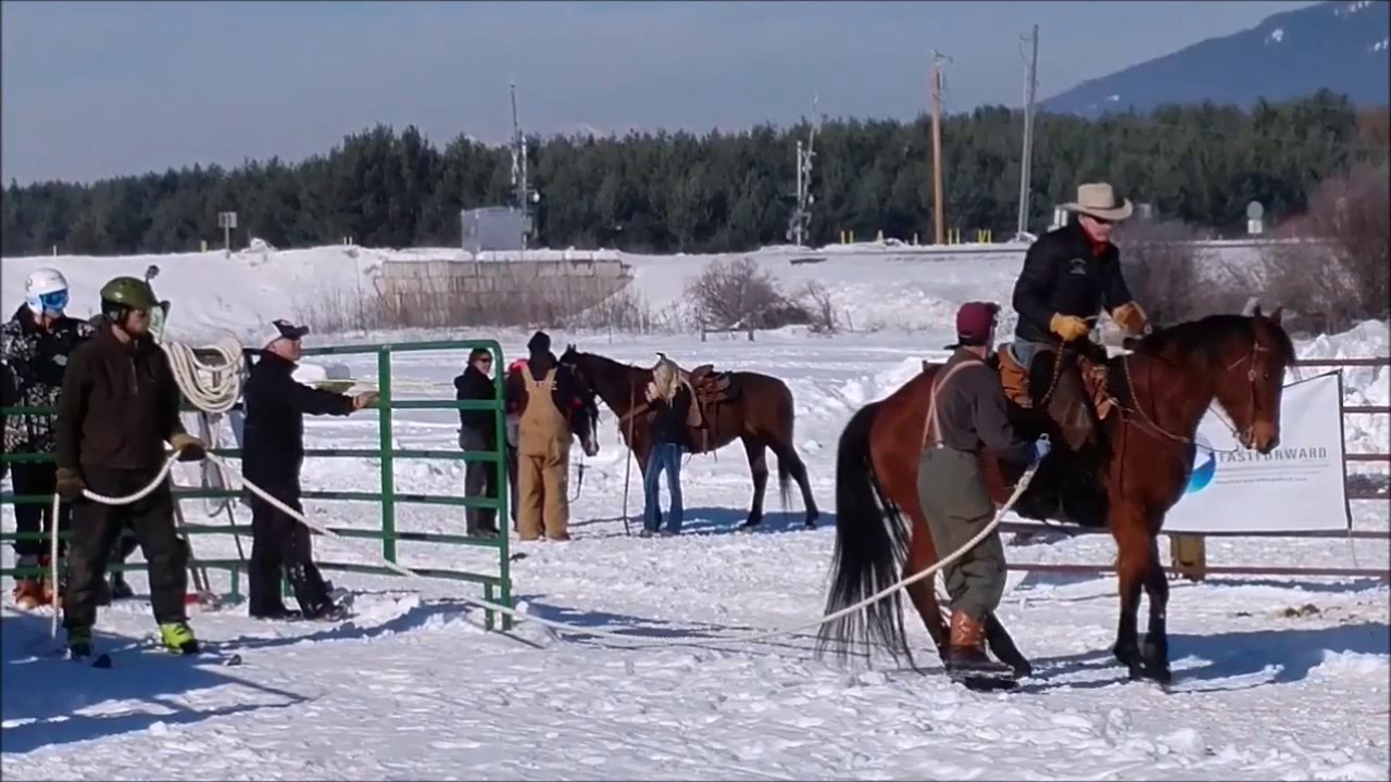 Skijoring Whitefish MT 2017
