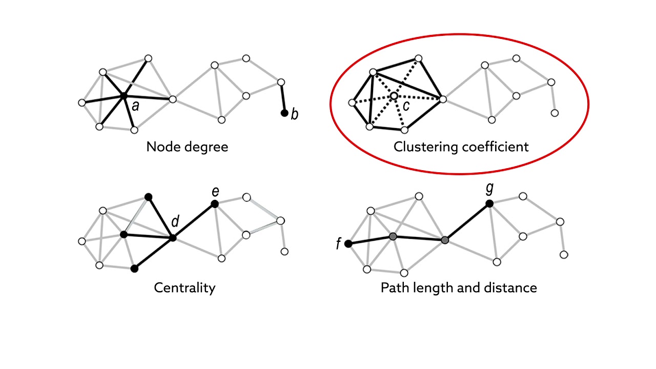 Applying network science to better understand anesthetic drugs