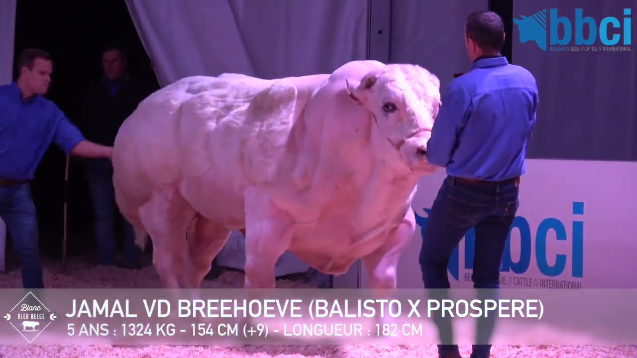 JAMAL VD BREEHOEVE (2023)
