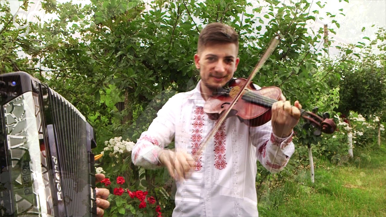 Donose Brothers Band - Instrumentală de nuntă !