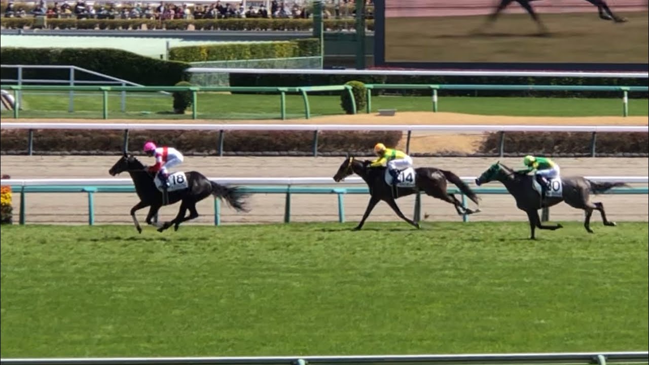 【現地】ダノンファンスター C.ルメール 3歳未勝利 初出走馬