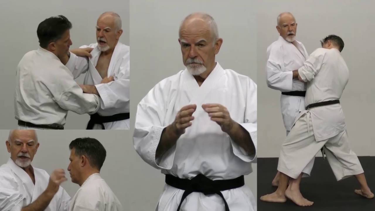KATA BUNKAI SERIES Vol-3 (3 DVD Set) by Patrick McCarthy Koryu Uchinadi