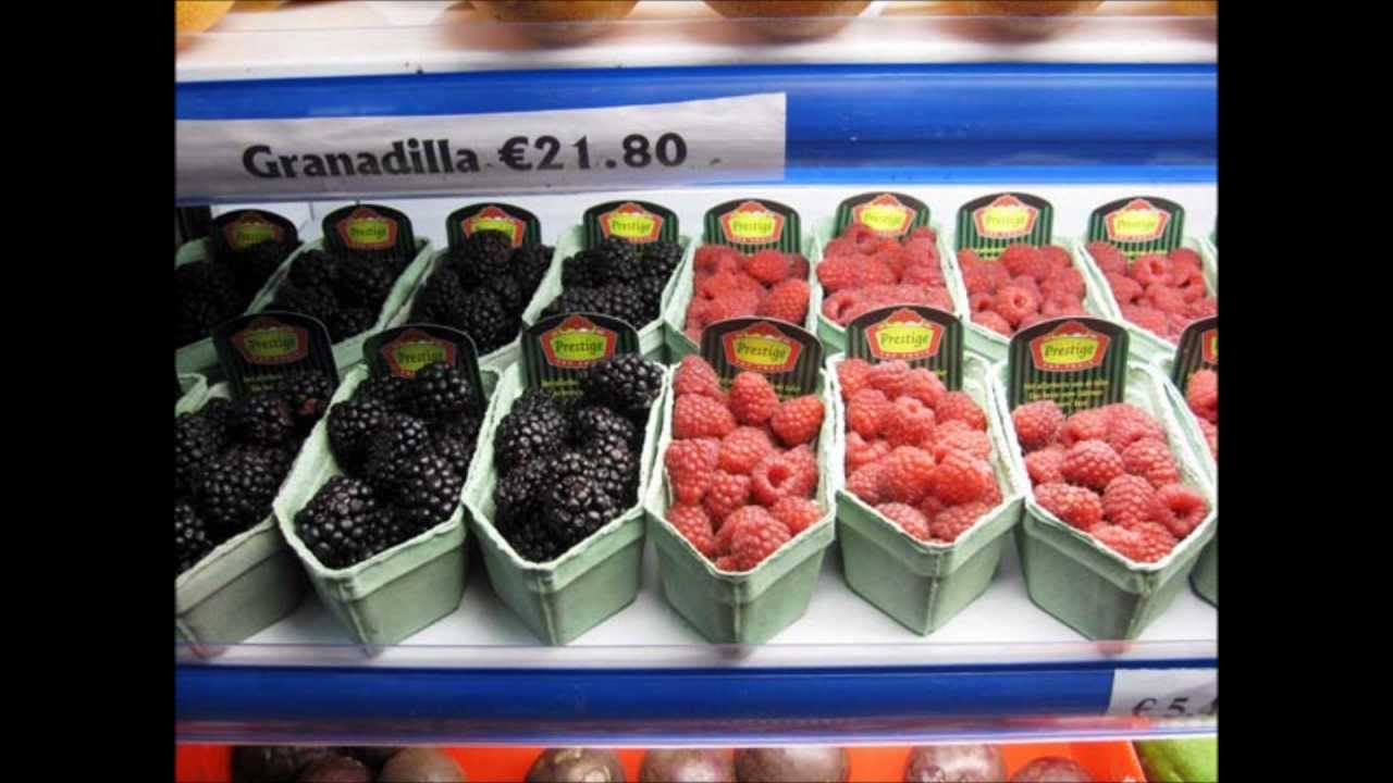 Froutopia