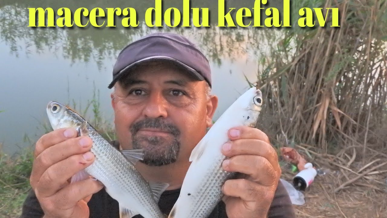 Macera dolu kefal avı. serik Antalya 
