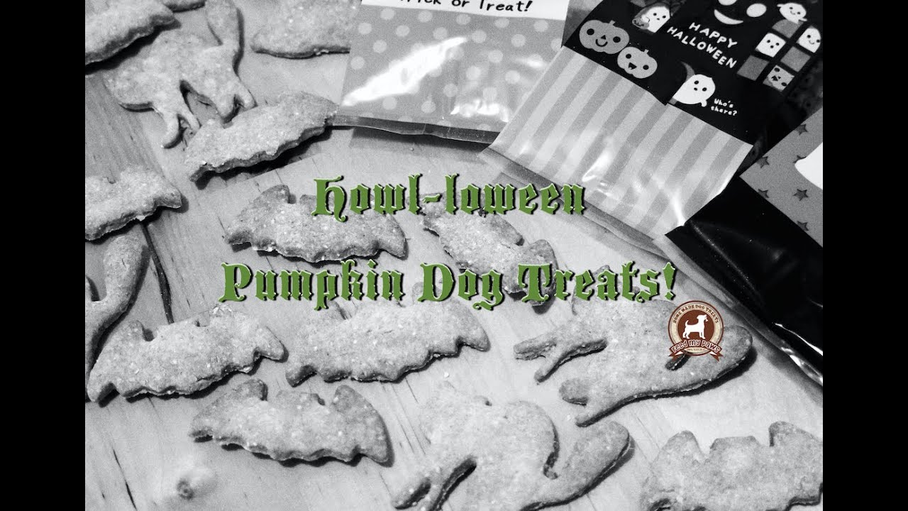 FEEDMYPAWS - Recipe: Halloween Pumpkin Dog Treats!