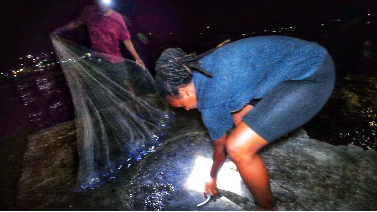 LATE NIGHT FISHING FOR BALLAHOO FISH : VILLA BEACH ST VINCENT.🇻🇨