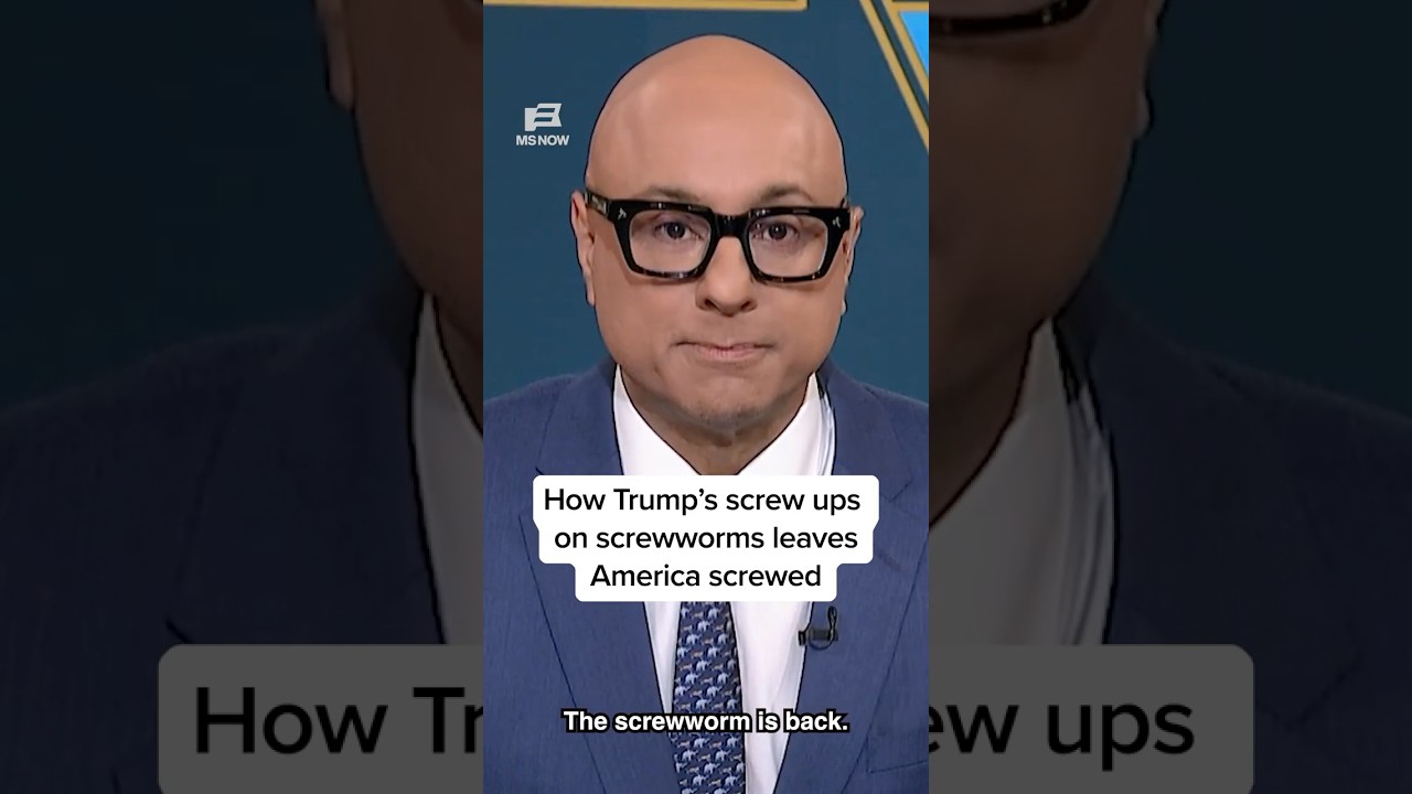 How Trump's screw ups on screwworms leaves America screwed