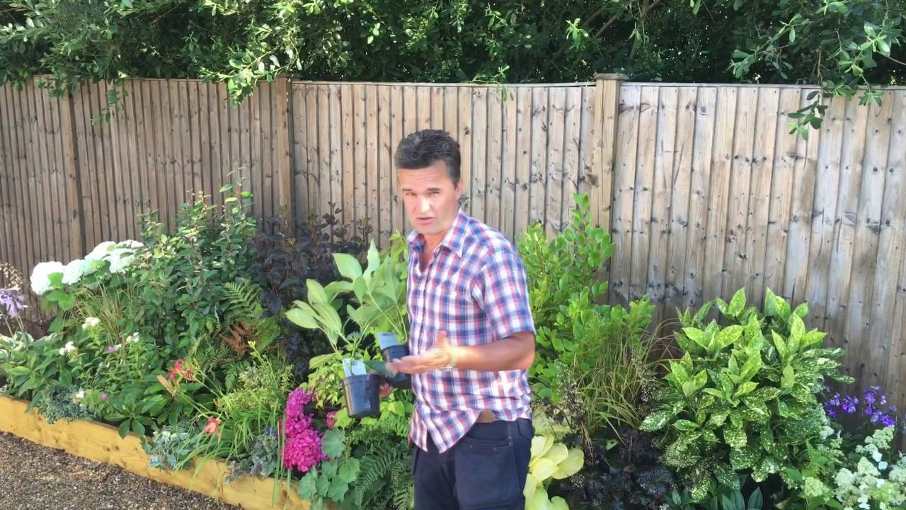 Garden on a Roll - Mixed Shady Border
