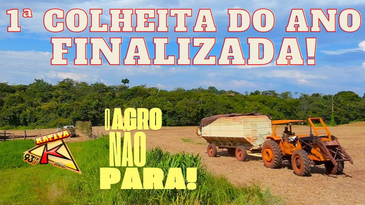 O Agro Não Para! Finalizando a Colheita da Soja 24/25 em Jataí Goiás - BELAS IMAGENS AÉREAS