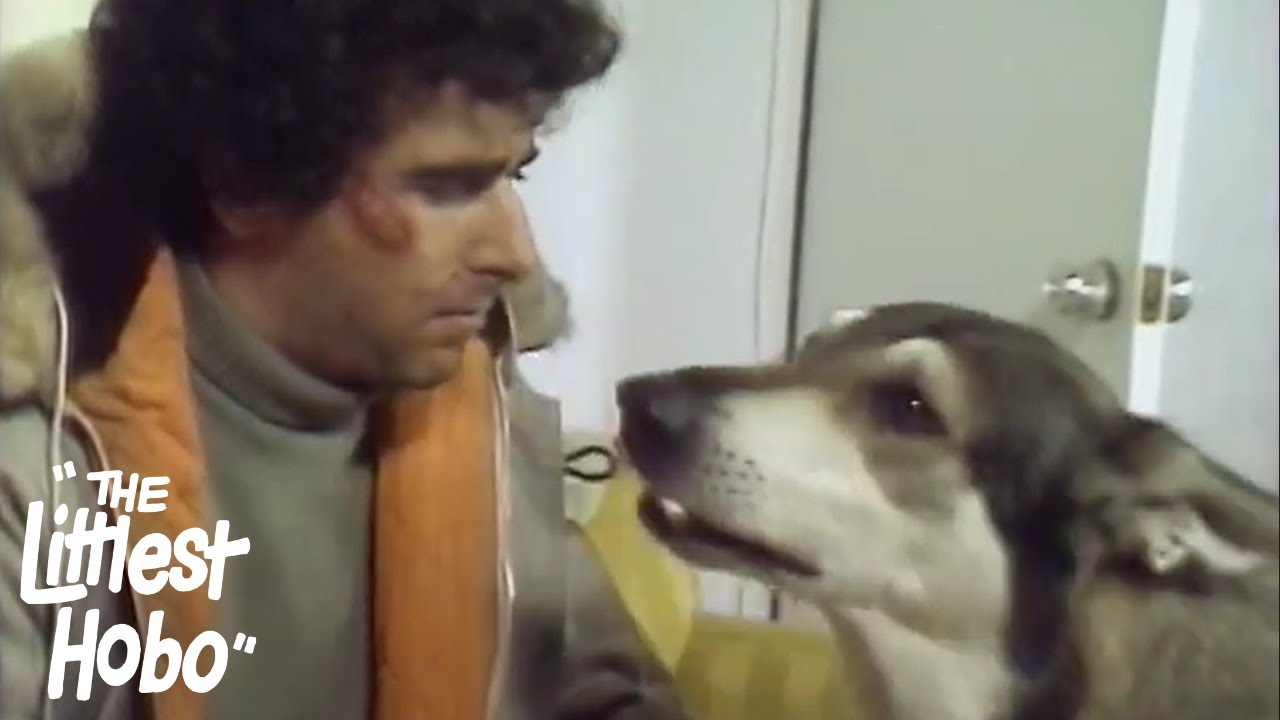 Escape | The Littlest Hobo | Season 1 | Episode 20