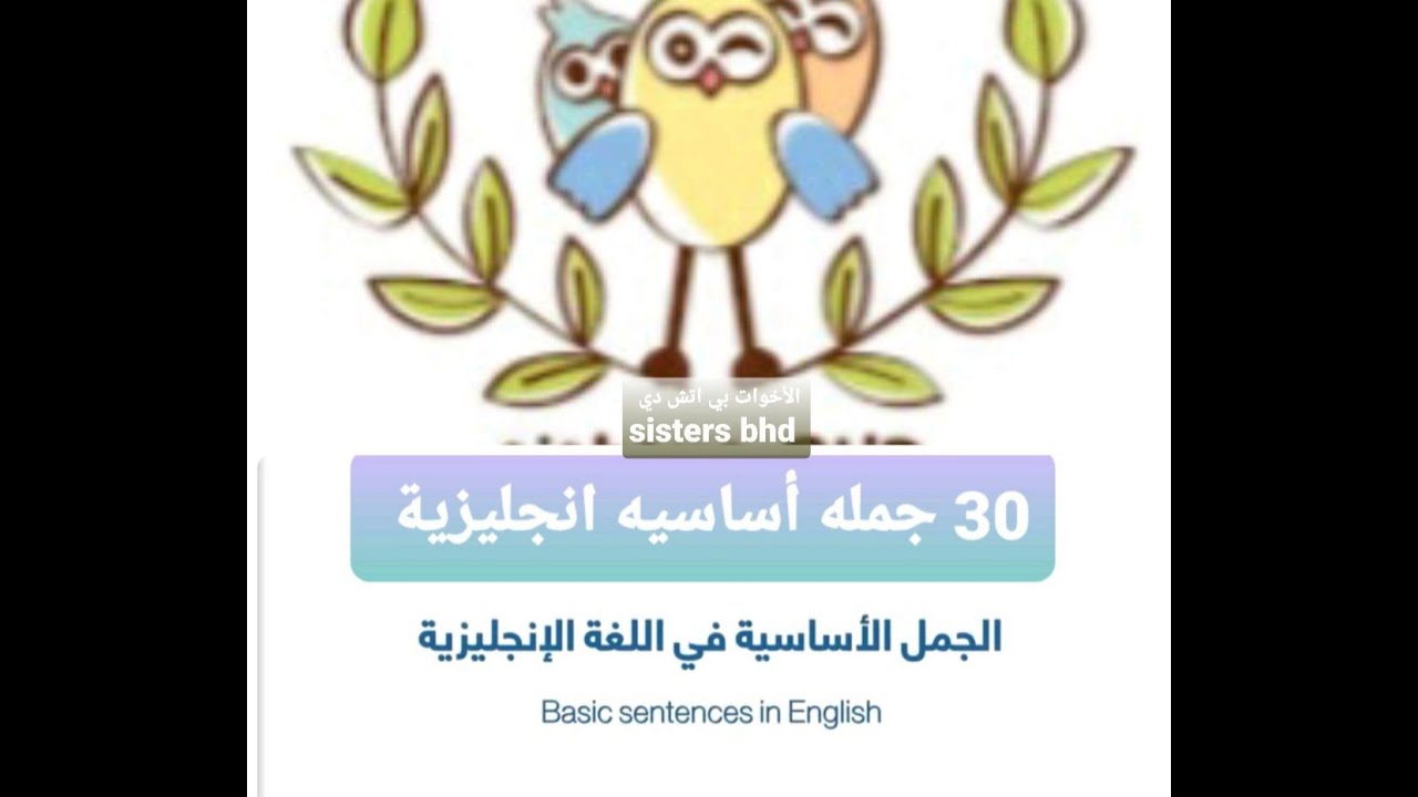 30 جملة أساسية انجليزية Basic sentences in English ( الجزء الأول)