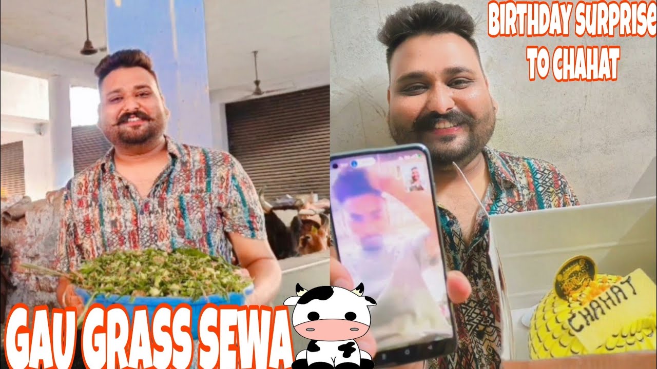 GAU GRASS SEWA || BIRTHDAY SURPRISE 🥳TO CHAHAT || Amit11vlogger 