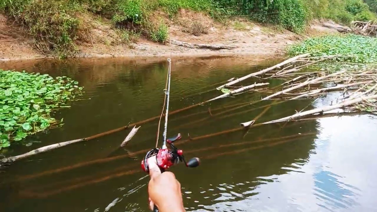 Pescaria de traira no Rio iguaçu , espero que gostem , se gostr se increce e deixa o like pra ajudar