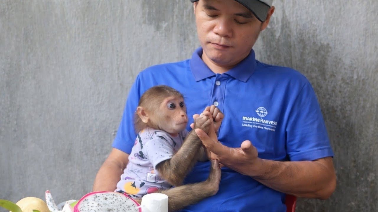 This Baby Monkey Believes Dad Is His World 🥺❤️