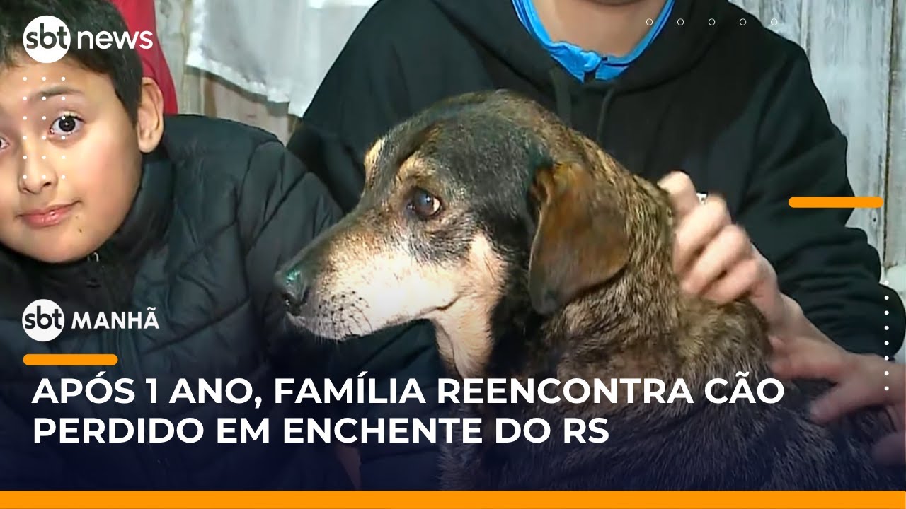 Família reencontra cachorro perdido em abrigo após enchente do Rio Grande do Sul | #SBTManhã