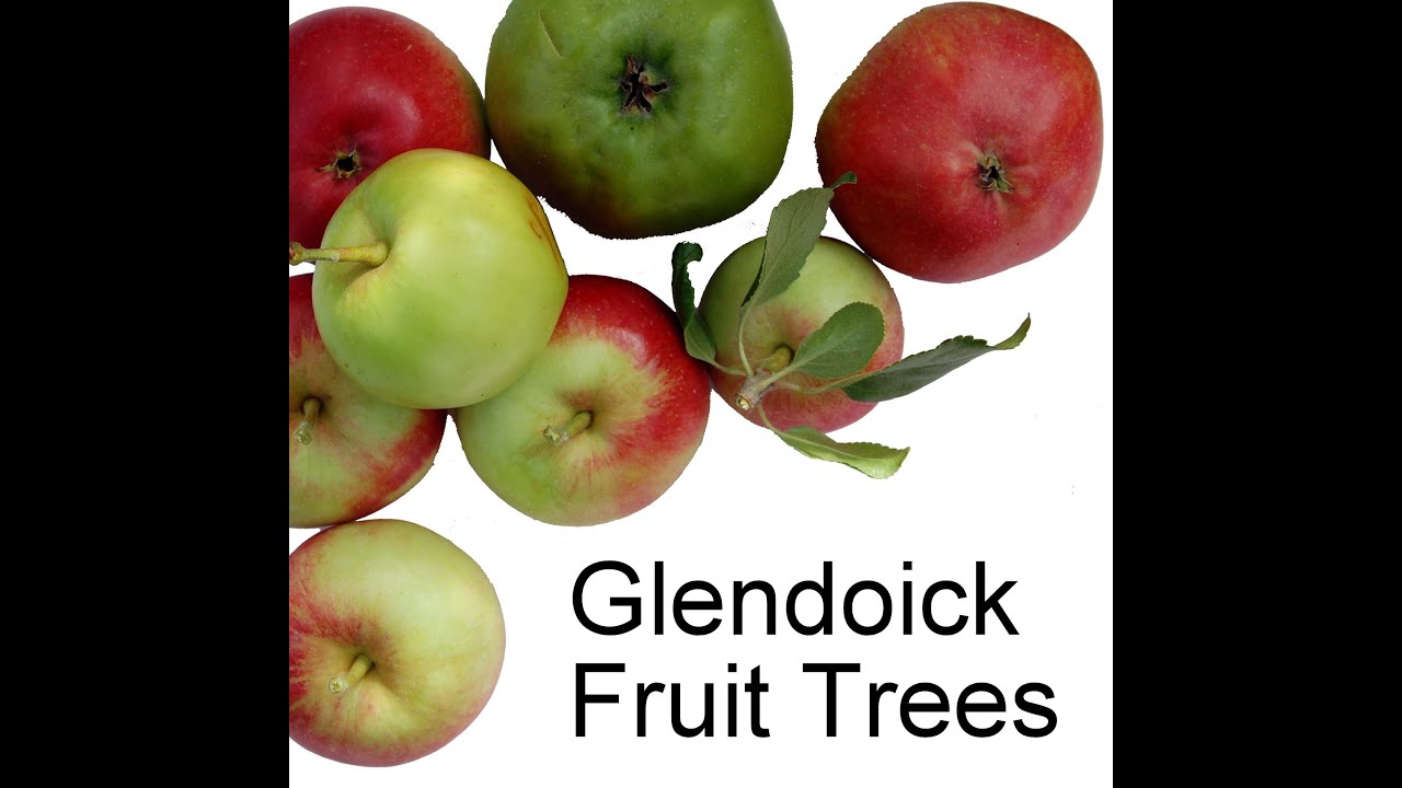 Fruit Trees at Glendoick