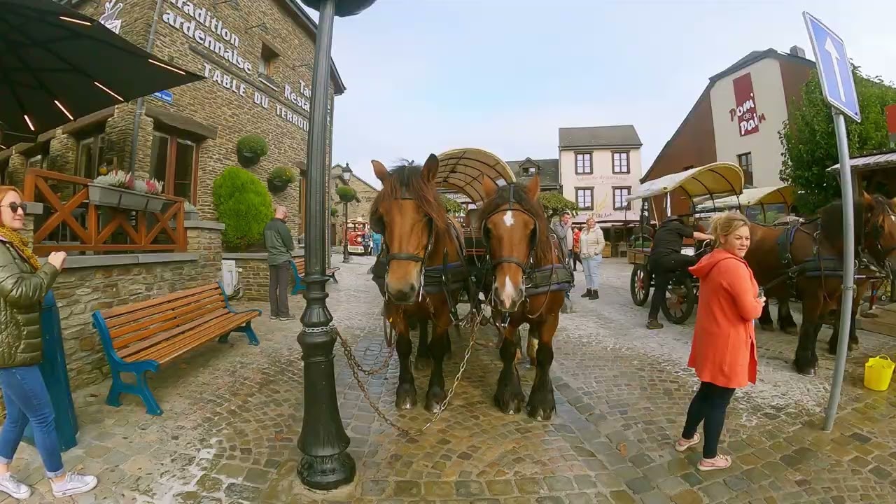 Le cheval de trait ardennais Rochehaut
