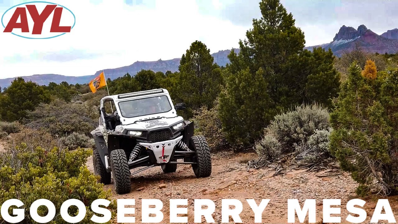Gooseberry Mesa