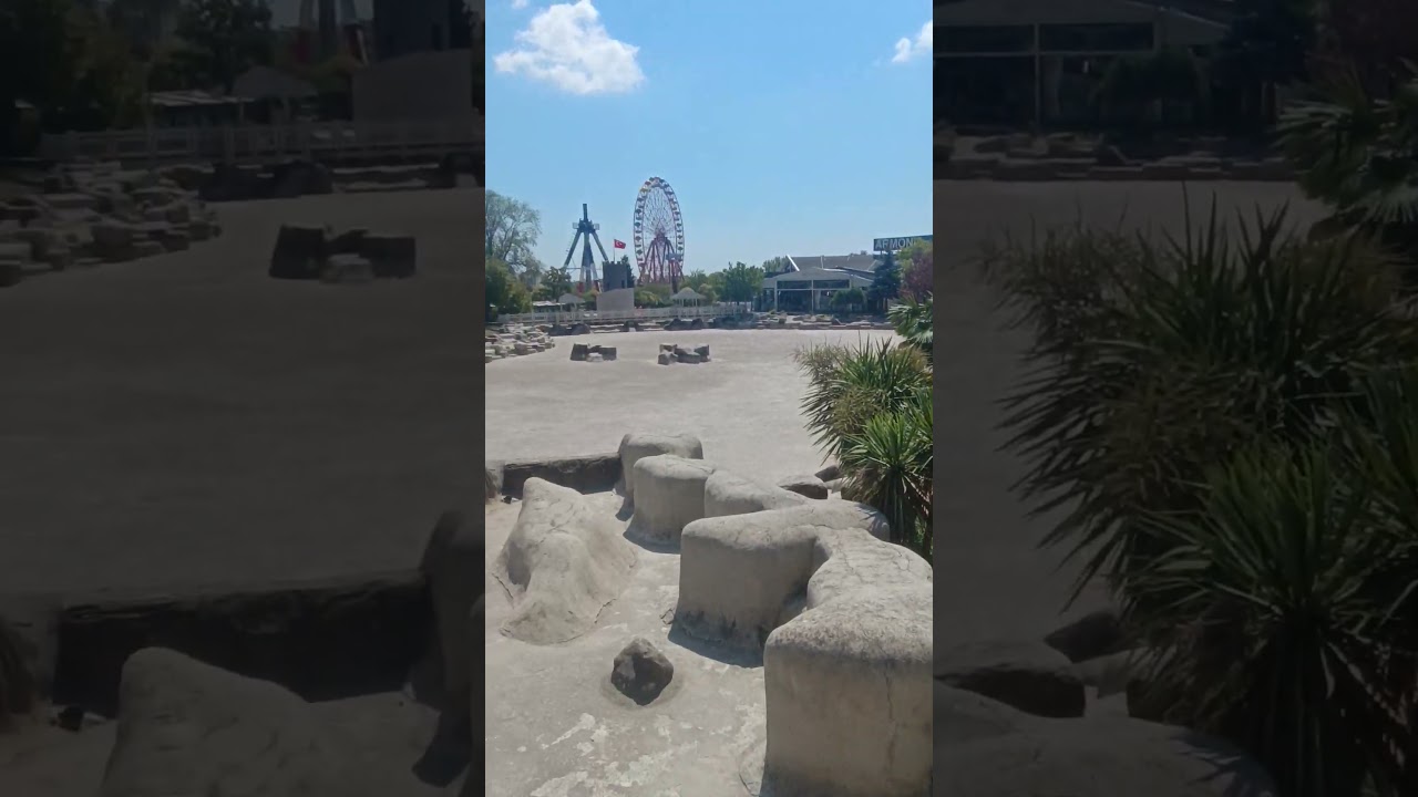 #островчерепах