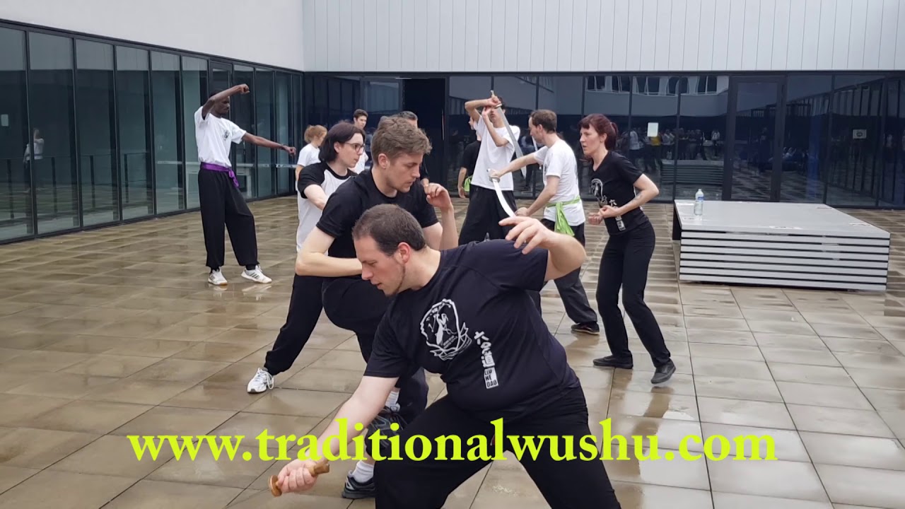 Grandmaster Lee Kam Wing Shaolin Seven Star Mantis Seminar 2018 France
