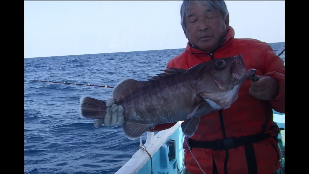 VOL45室戸岬戎丸（遊漁船） 　スルメを使った泳がせ釣りでマハタゲット！