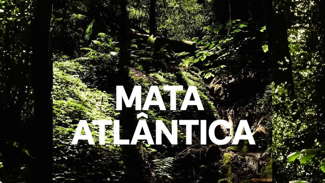 Biomas do Brasil | Ep. 3 | Mata Atlântica: 