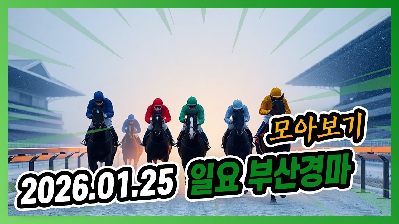 2026년 1월 25일 일요 부산경마 전체경주 모아보기