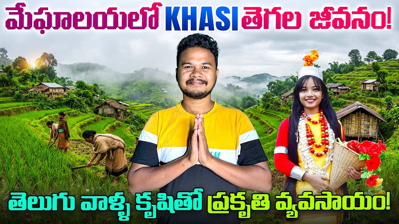 Village life of the Khasi tribe in Meghalaya | Organic farming🌾 in Northeast India