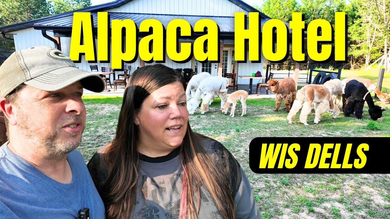 You Can Actually Stay Here! Casacampo Alpaca Ranch 🦙 WISCONSIN DELLS 