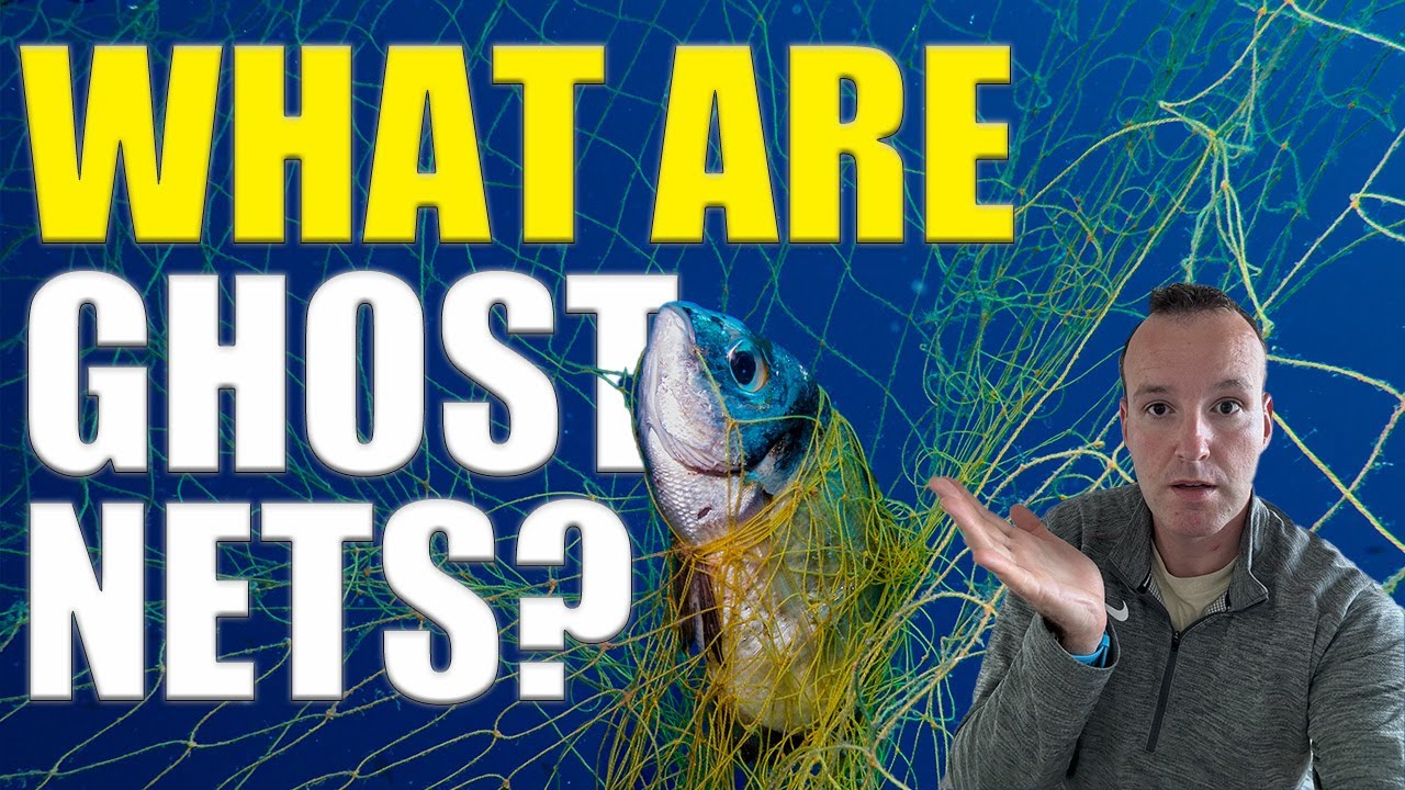 SHOCKING Ghost Nets In BORNEO | What Are Ghost Nets?