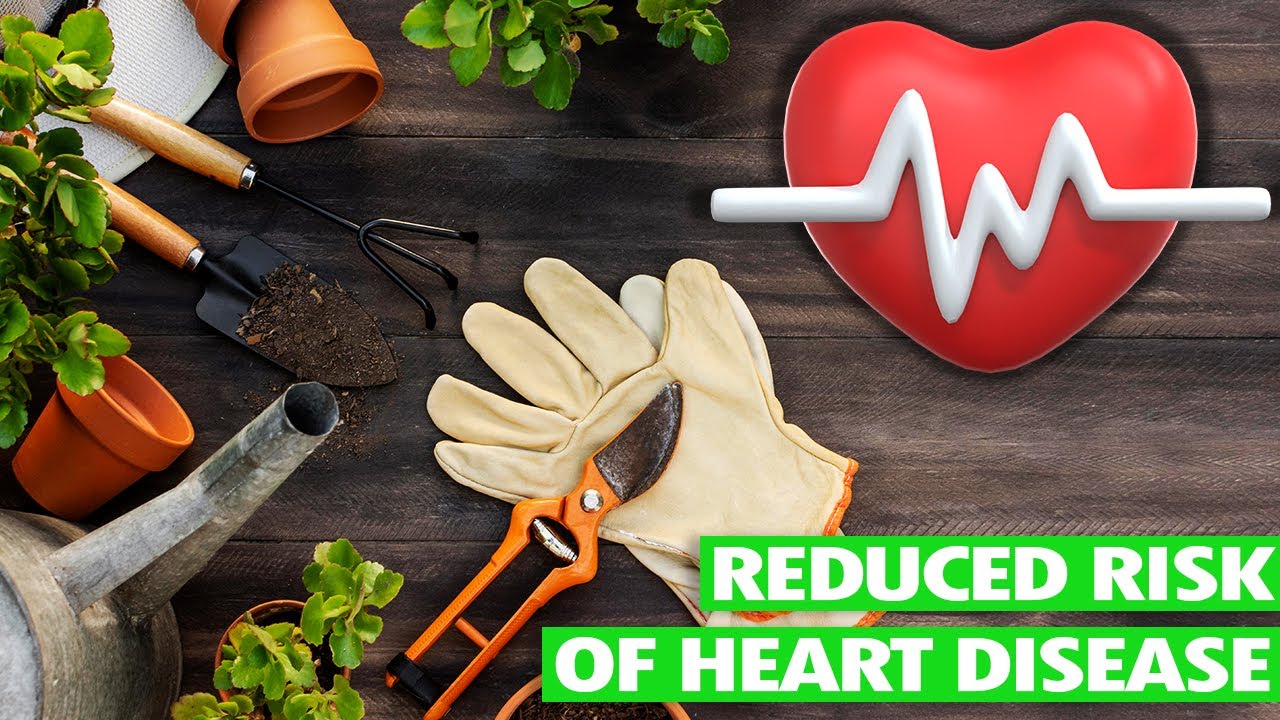 The Surprising Relationship Between Gardening and Your Heart