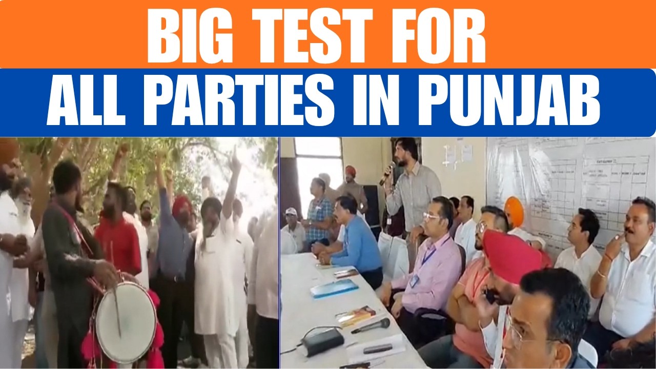 Punjab Civic Body Elections 2026: AAP Leads, Counting Underway Across State | News9