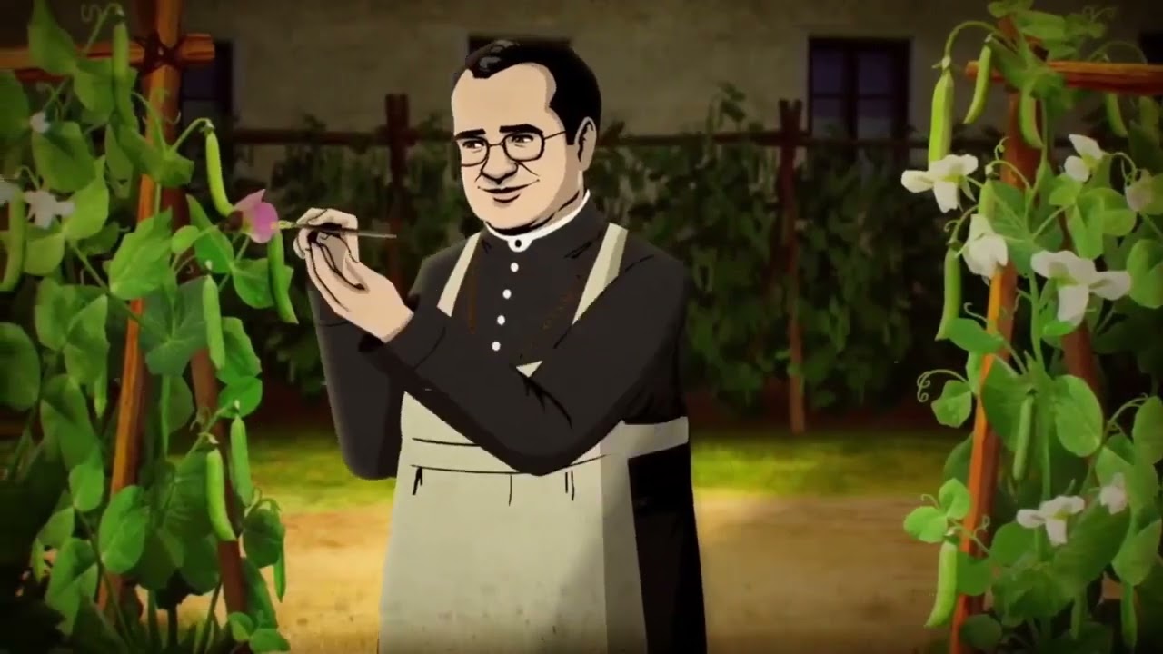 Mendel o Pai da Genética