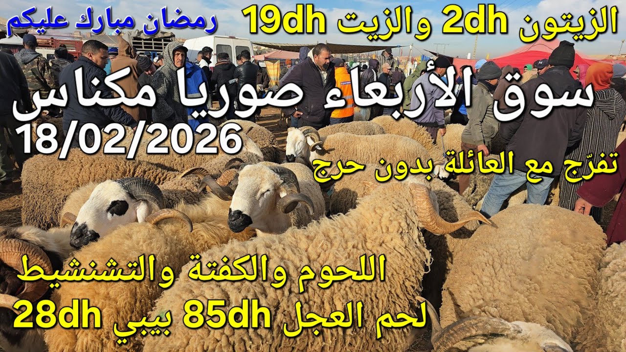 أثمنة الغنم والبقر واللحوم والخضر سوق الأربعاء صوريا مكناس اليوم 18/02/2026