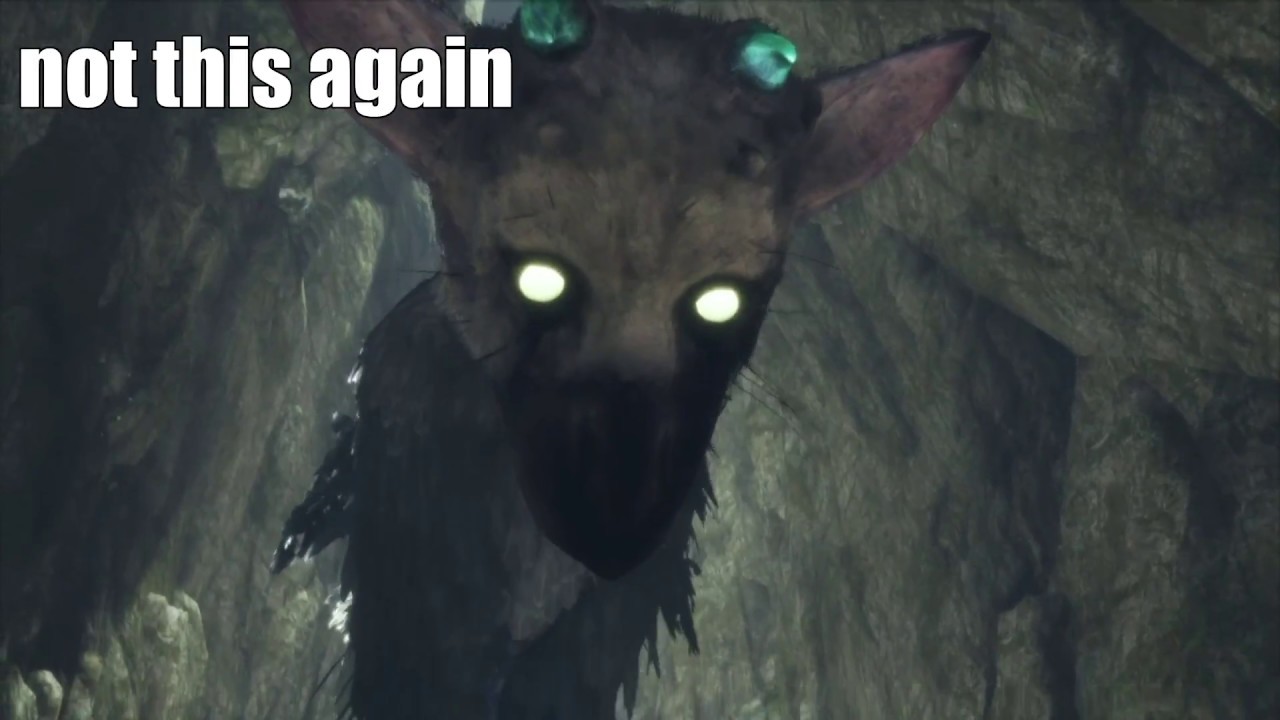 The Last Guardian - Glitchy and Funny moments