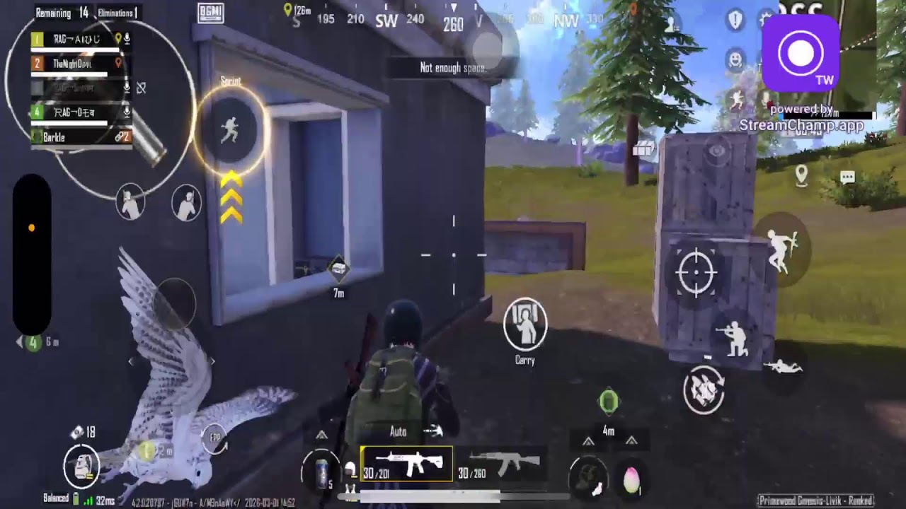 Enjoy With Chokers Live Stream