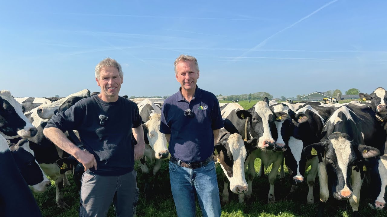 Interview with Batenburg Holsteins