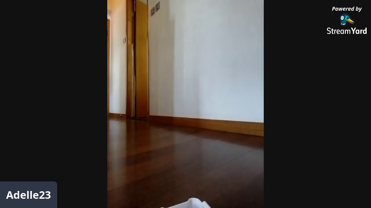 Robot vacuum cleaner - SuperSonic my partner😁 while I am busy | adelle23