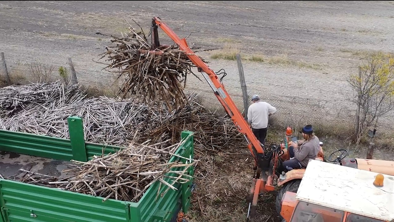 ТАНЕЦ ДОЖДЯ | Часть 19 | Прошлогодний табачный стебель |