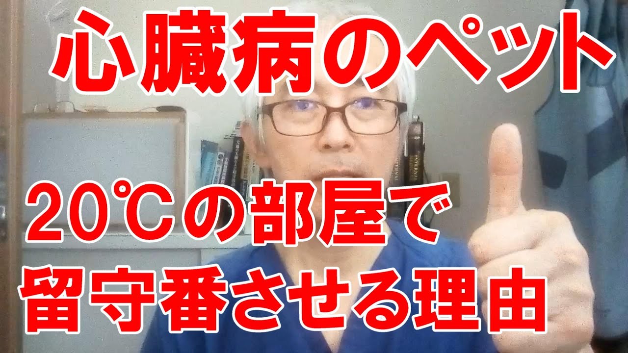 心臓病のペットー20℃の部屋で留守番させる理由