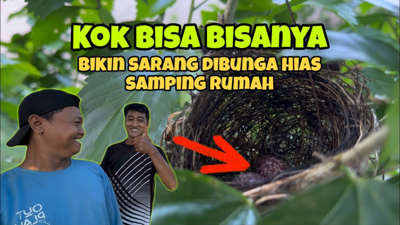 Capek-capek naik turun gunung,, eh nemu ya malah disamping rumah,,, GOKIL 😂