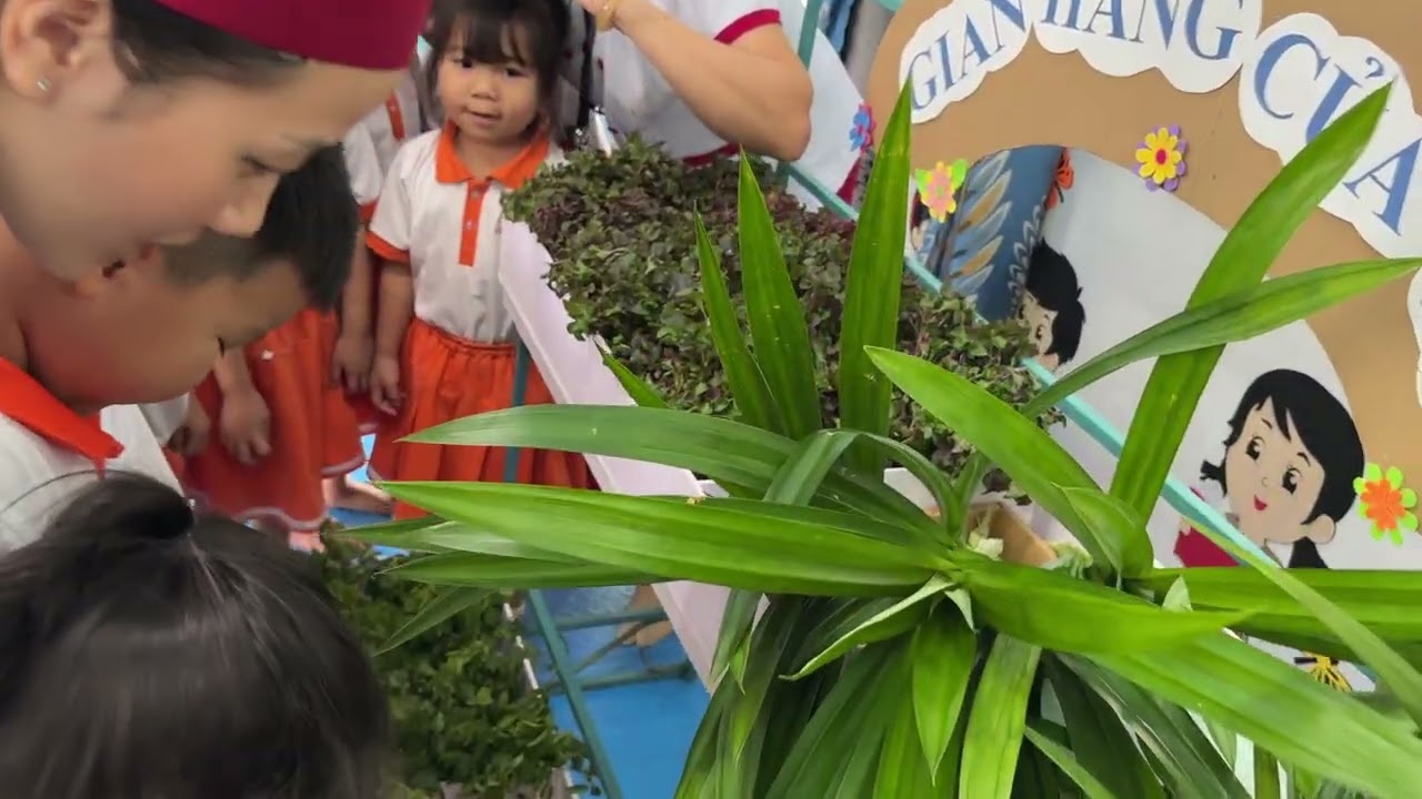 Hoạt động KPKH- Lớp Chồi 2