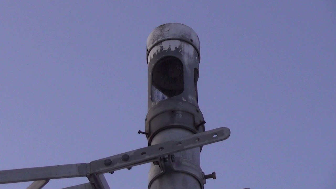 High toned General Signals type 1