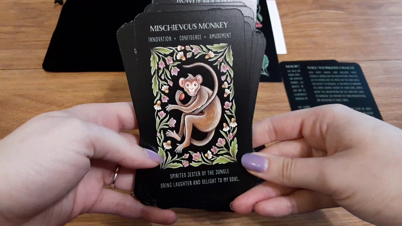 Wild Whiskers Oracle by Faina Lorah Opening and Full Flip Through