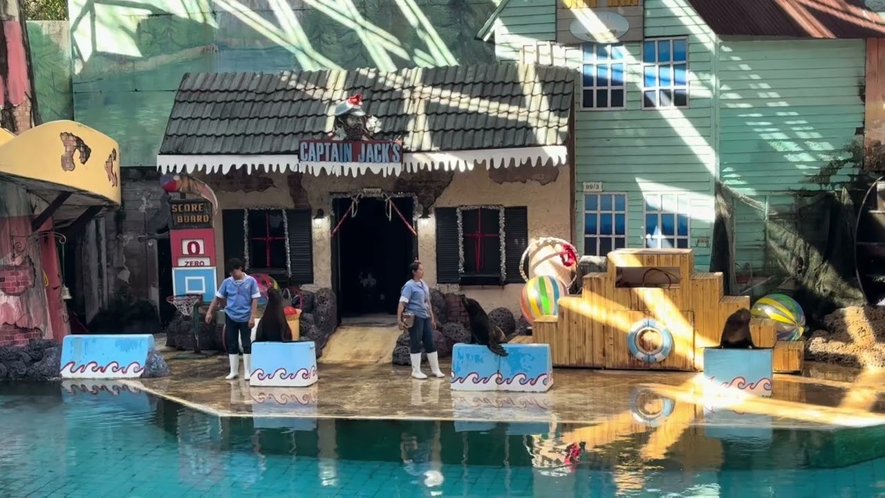 Sea lion show #bangkok #thailand #travel #safariworldbangkok #indiatothailand 